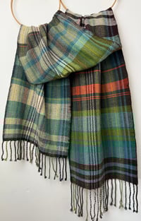 Image 1 of Sugar Kelp