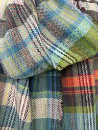 Image 3 of Sugar Kelp