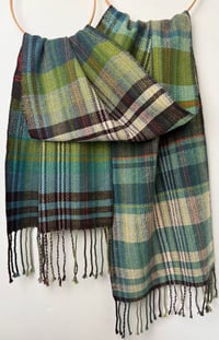 Image 4 of Sugar Kelp