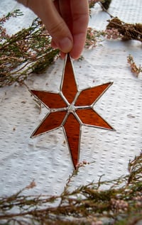 Image 2 of Cinnamon Star