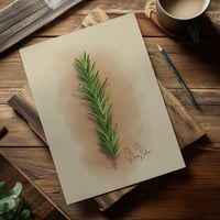 Image 3 of The Woodland Calm Collection