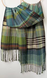 Image 1 of Sea Lettuce