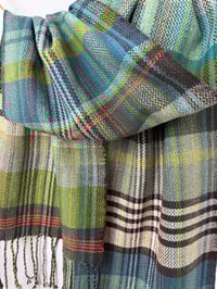 Image 3 of Sea Lettuce