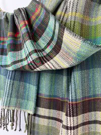 Image 5 of Sea Lettuce