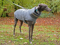 Image 1 of Artic Pup Puffer Jacket