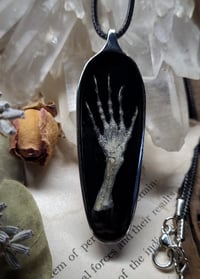 Image 1 of Lizard Claw and Floral Amulet