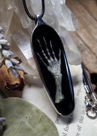 Image 4 of Lizard Claw and Floral Amulet