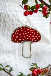 Image 1 of Red Mushroom