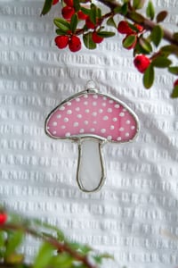 Image 1 of Pink Cloud Mushroom