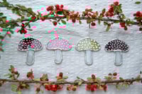 Image 4 of Pink Cloud Mushroom