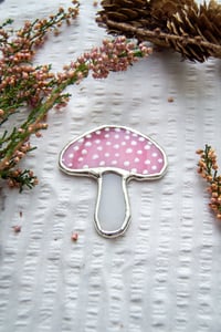 Image 2 of Pink Cloud Mushroom
