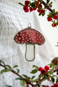 Image 1 of Merlot Mushroom