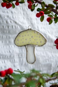 Image 1 of Yellow Mushroom