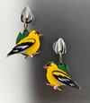 Goldfinch Earrings