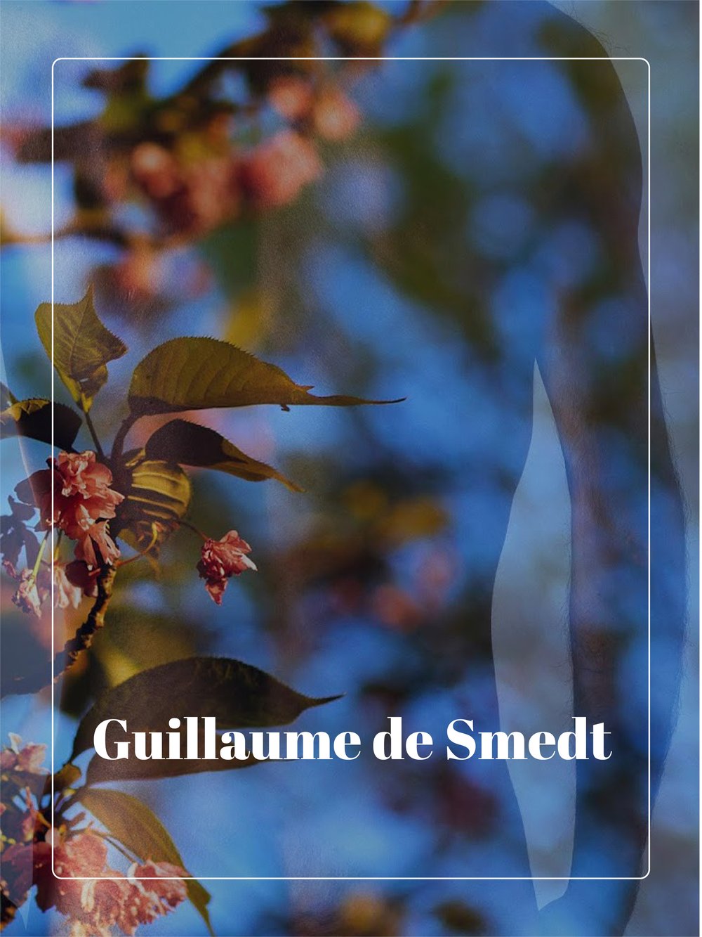 Image of DE SMEDT