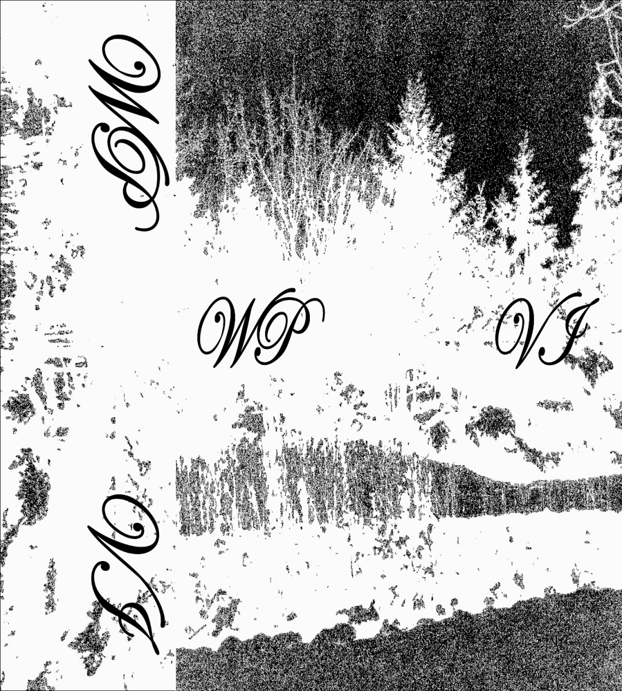 Image of WINTER PATHWAYS "VI" CS