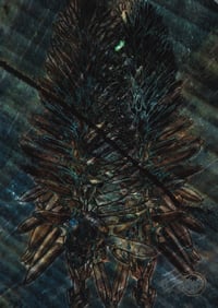 Botanica Sentientia – Exobscura