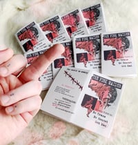 Image 2 of ZINE: THE PINK MAIDEN