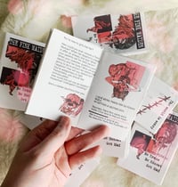 Image 3 of ZINE: THE PINK MAIDEN