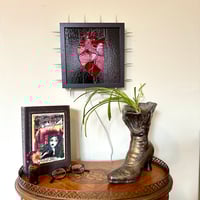 Image 2 of anatomical heart lamp 10"x10"
