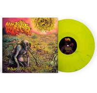 Image 2 of PLASMODULATED - "AN OCEAN OV PUTRID, STINKY, VILE, DISGUSTING HELL" 12" Vinyl LP
