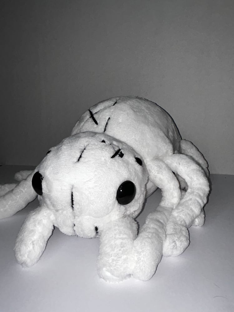 Image of Snow spider gibbie