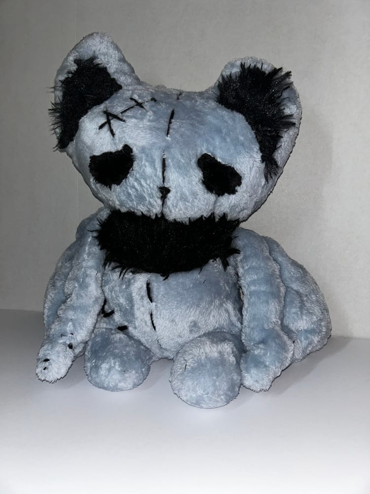 Image of Gray Bat Gibbie