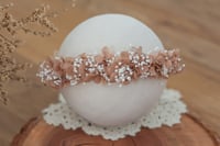 Newborn/Sitter Halo 93