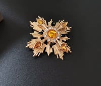 Image 3 of 🌟 Star of the Show Brooch