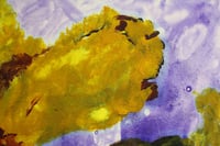 Image 4 of Morning flowers II