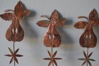 Image 1 of Starry pear