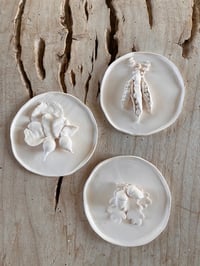 Assiettes murales 