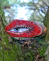 Birch Eye (Red)