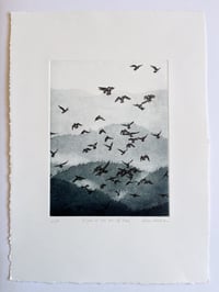 Image 2 of Flight on the Sea of Trees
