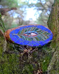 Image 2 of Birch Eye (Leaf)