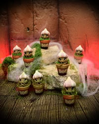 Image 1 of Mini mandrágoras Ajo vampiro