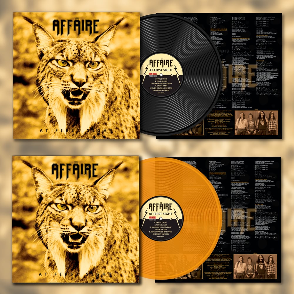 Image of LP "AT FIRST SIGHT" 10th Anniversary