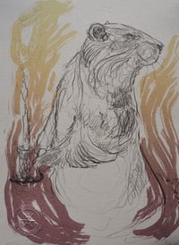 Image 4 of 'Ratty' Wind in The Willows Stone Lithograph Edition