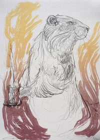 Image 5 of 'Ratty' Wind in The Willows Stone Lithograph Edition