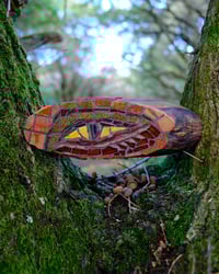 Image 1 of Birch Eye (Orange)