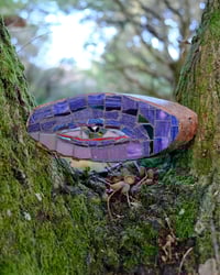 Birch Eye (Purple)