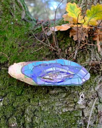 Image 2 of Birch Eye (Cornflower Blue)