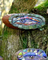 Image 2 of Birch Eye (Olive Green)