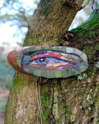 Image 1 of Birch Eye (Olive Green)