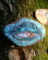 Image 3 of Birch Eye (Turquoise)