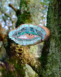 Image 2 of Birch Eye (Turquoise)