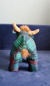 Image 3 of Highland Cow 