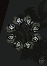 Botanica Sentientia – WabiSabi