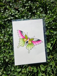 Butterfly Painting