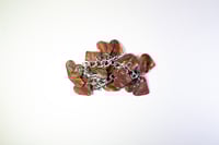 Image 3 of The Copper Heart 